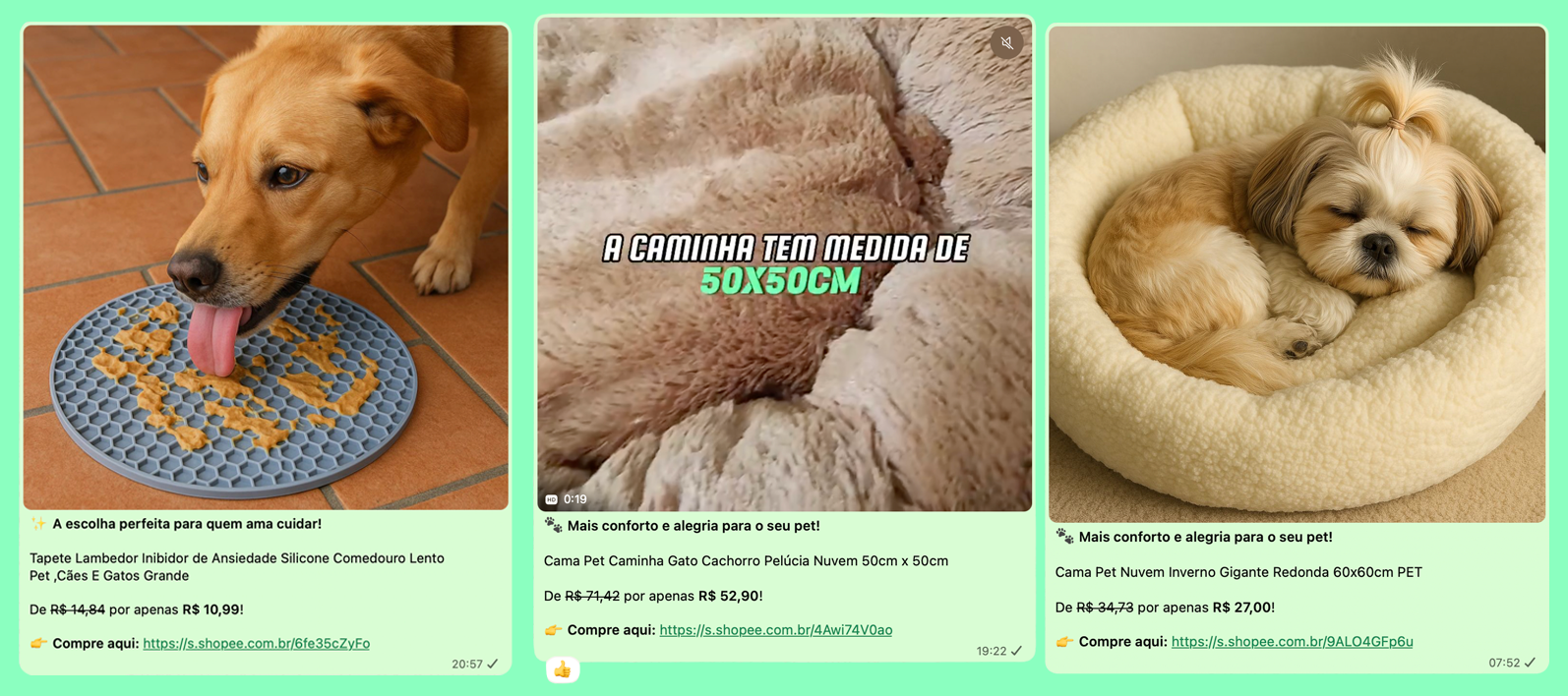 Grupo WhatsApp Petcalmer